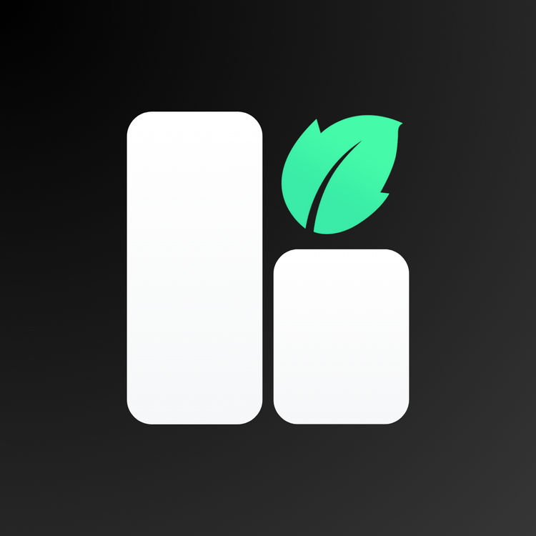Mintt TikTok Feed